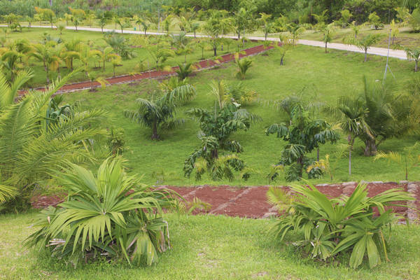Croc parc, ferme aux crocodile à la réunion