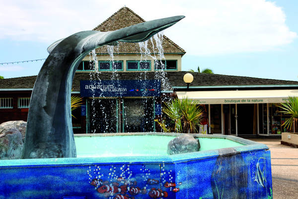 Aquarium de la réunion