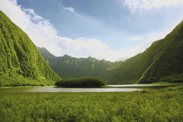 le parc national de la réunion